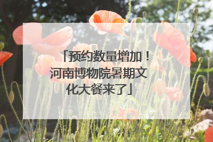 预约数量增加！河南博物院暑期文化大餐来了