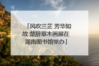 风吹兰芷 芳华如故 楚辞草木画展在湖南图书馆举办