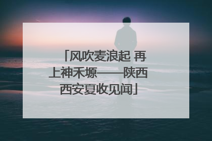 风吹麦浪起 再上神禾塬——陕西西安夏收见闻