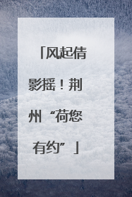 风起倩影摇！荆州“荷您有约”