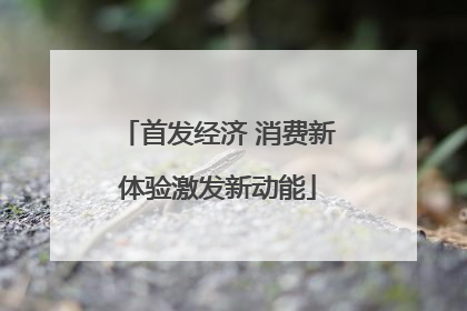 首发经济 消费新体验激发新动能