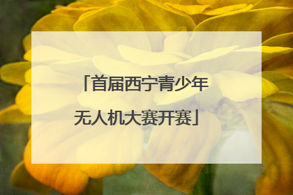 首届西宁青少年无人机大赛开赛