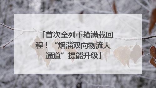 首次全列重箱满载回程！“烟淄双向物流大通道”提能升级