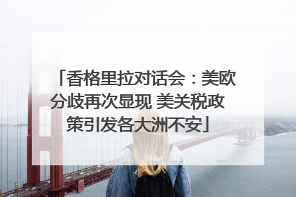香格里拉对话会：美欧分歧再次显现 美关税政策引发各大洲不安