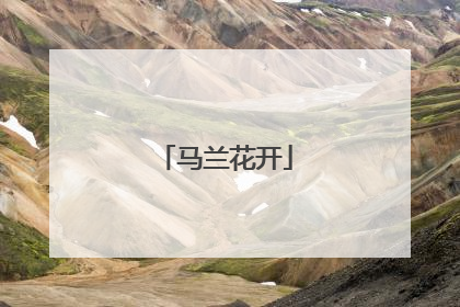 马兰花开