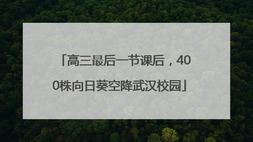 高三最后一节课后，400株向日葵空降武汉校园