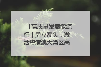 高质量发展能源行｜勇立潮头，激活粤港澳大湾区高质量发展动力源