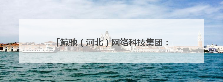 鲸驰（河北）网络科技集团：鲸驰出海，开启跨境新航程