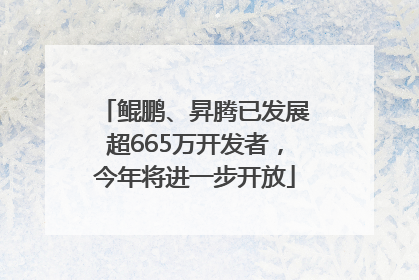 鲲鹏、昇腾已发展超665万开发者，今年将进一步开放