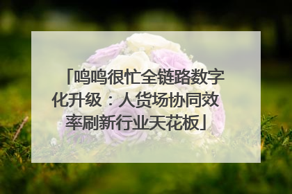 鸣鸣很忙全链路数字化升级：人货场协同效率刷新行业天花板