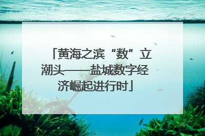 黄海之滨“数”立潮头——盐城数字经济崛起进行时