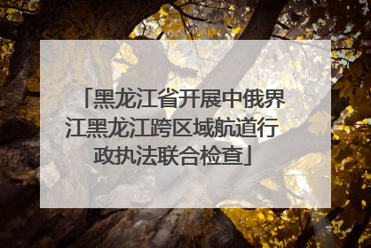 黑龙江省开展中俄界江黑龙江跨区域航道行政执法联合检查