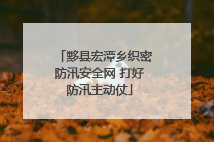 黟县宏潭乡织密防汛安全网 打好防汛主动仗