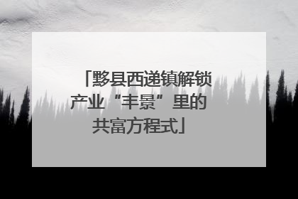 黟县西递镇解锁产业“丰景”里的共富方程式