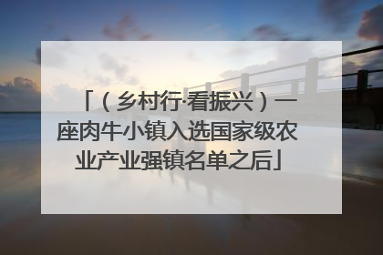 （乡村行·看振兴）一座肉牛小镇入选国家级农业产业强镇名单之后
