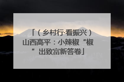 （乡村行·看振兴）山西高平：小辣椒“椒”出致富新答卷