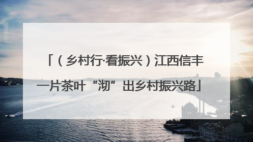 （乡村行·看振兴）江西信丰一片茶叶“沏”出乡村振兴路
