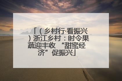 （乡村行·看振兴）浙江乡村：时令果蔬迎丰收 “甜蜜经济”促振兴