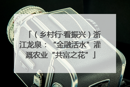 （乡村行·看振兴）浙江龙泉：“金融活水”灌溉农业“共富之花”