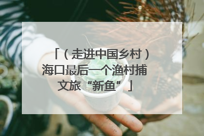 （走进中国乡村）海口最后一个渔村捕文旅“新鱼”