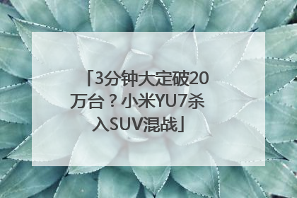 3分钟大定破20万台？小米YU7杀入SUV混战