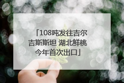 108吨发往吉尔吉斯斯坦 湖北鲜桃今年首次出口