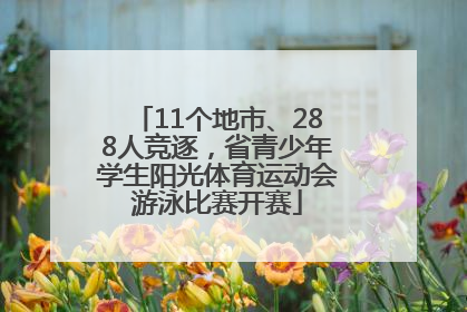 11个地市、288人竞逐，省青少年学生阳光体育运动会游泳比赛开赛