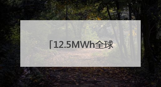12.5MWh全球最大容量储能系统发布 合肥一季度储能系统同比增长425%