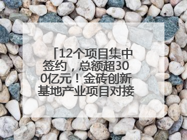 12个项目集中签约，总额超300亿元！金砖创新基地产业项目对接会举行