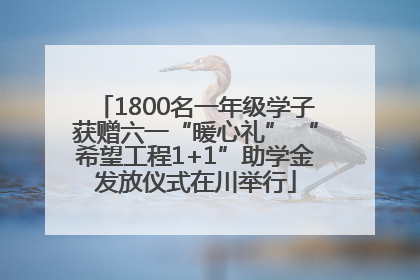 1800名一年级学子获赠六一“暖心礼” “希望工程1+1”助学金发放仪式在川举行