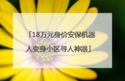 18万元身价安保机器人变身小区寻人神器
