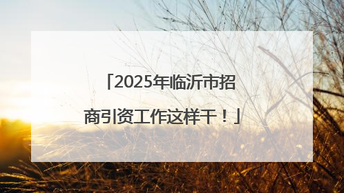 2025年临沂市招商引资工作这样干！