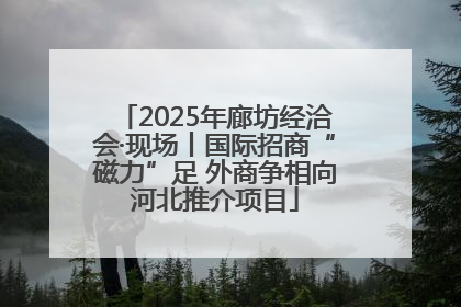 2025年廊坊经洽会·现场丨国际招商“磁力”足 外商争相向河北推介项目