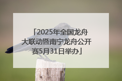 2025年全国龙舟大联动暨南宁龙舟公开赛5月31日举办