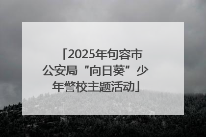 2025年句容市公安局“向日葵”少年警校主题活动