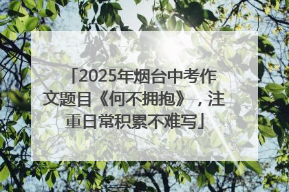 2025年烟台中考作文题目《何不拥抱》，注重日常积累不难写