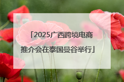 2025广西跨境电商推介会在泰国曼谷举行