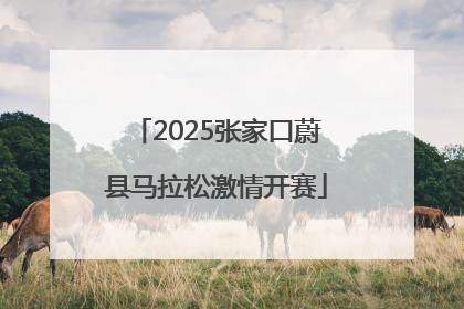 2025张家口蔚县马拉松激情开赛