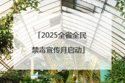 2025全省全民禁毒宣传月启动