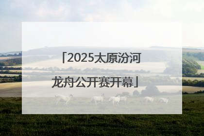 2025太原汾河龙舟公开赛开幕