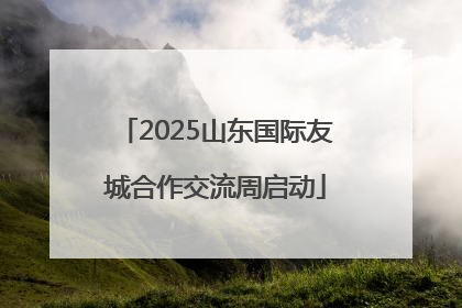 2025山东国际友城合作交流周启动