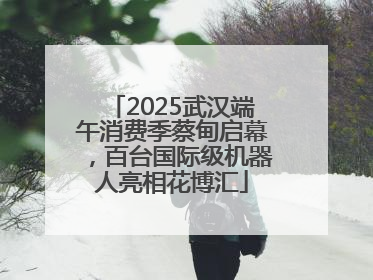 2025武汉端午消费季蔡甸启幕，百台国际级机器人亮相花博汇