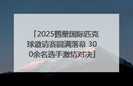 2025鹤壁国际匹克球邀请赛圆满落幕 300余名选手激情对决