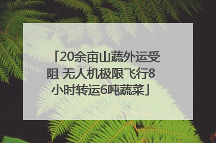 20余亩山蔬外运受阻 无人机极限飞行8小时转运6吨蔬菜