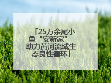 25万余尾小鱼“安新家” 助力黄河流域生态良性循环