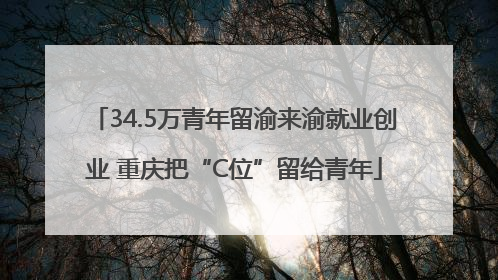 34.5万青年留渝来渝就业创业 重庆把“C位”留给青年