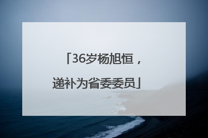 36岁杨旭恒，递补为省委委员