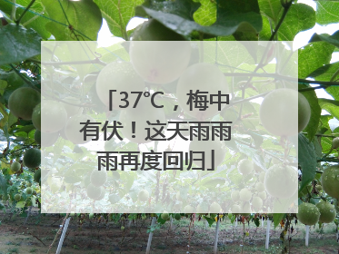 37℃，梅中有伏！这天雨雨雨再度回归