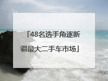 48名选手角逐新疆最大二手车市场