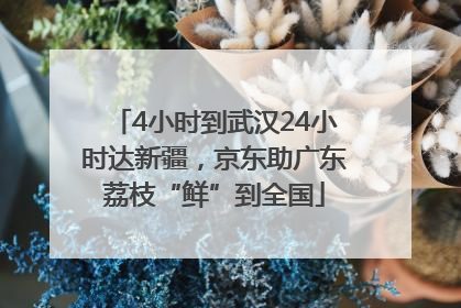 4小时到武汉24小时达新疆，京东助广东荔枝“鲜”到全国